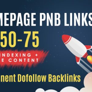 PBN Backlinks (Manual delivery)